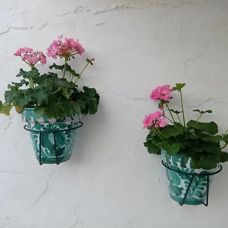 別荘 Casa De La Ermita *
